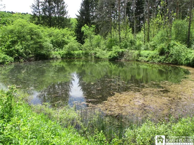 $1,295,000 | Yankee Road, Cuba, NY 14727