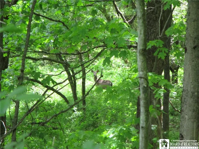 $1,295,000 | Yankee Road, Cuba, NY 14727