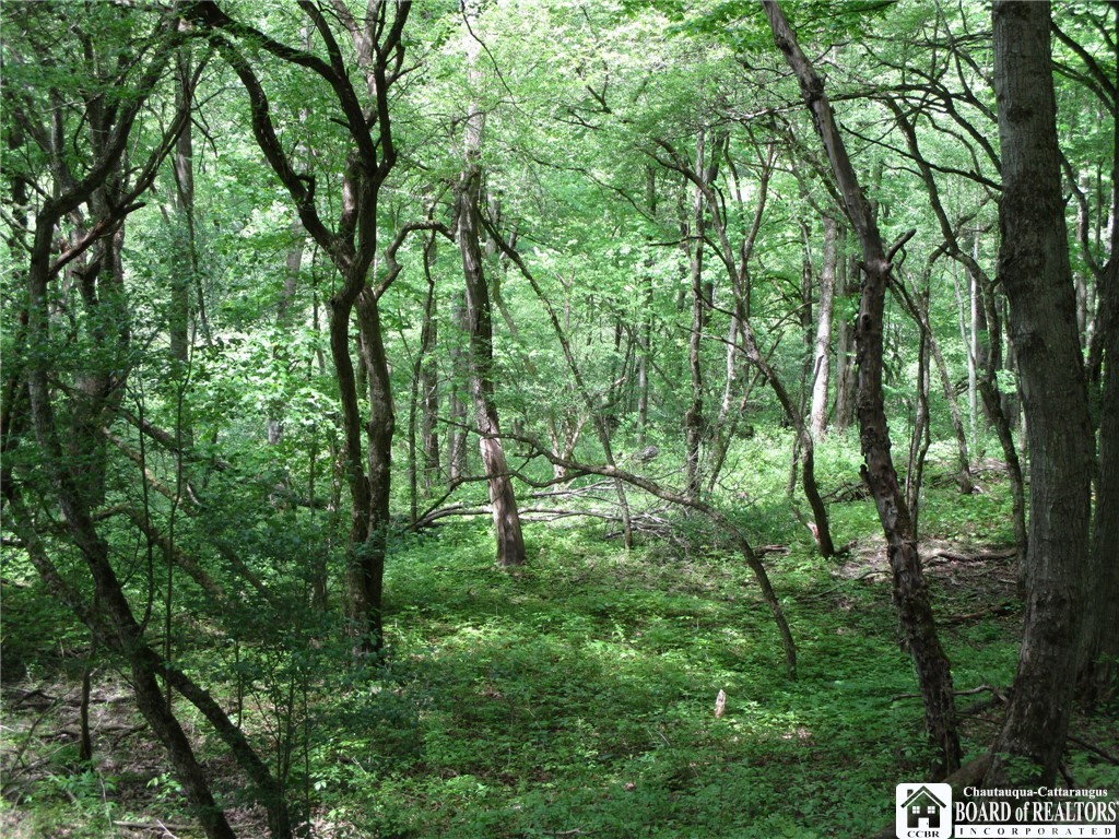 Yankee Road Cuba, NY 14727 - Photo 16 of 31