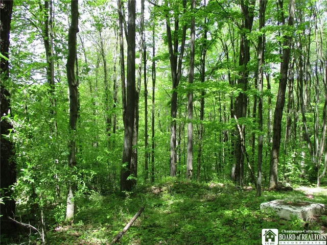 $1,295,000 | Yankee Road, Cuba, NY 14727