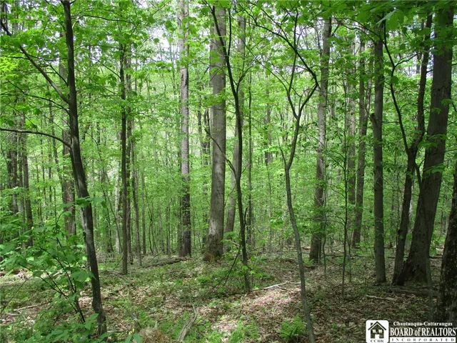 $1,295,000 | Yankee Road, Cuba, NY 14727