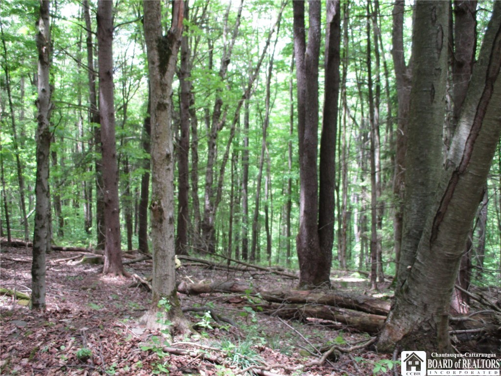 Yankee Road Cuba, NY 14727 - Photo 20 of 31