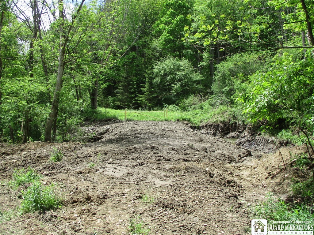 Yankee Road Cuba, NY 14727 - Photo 22 of 31