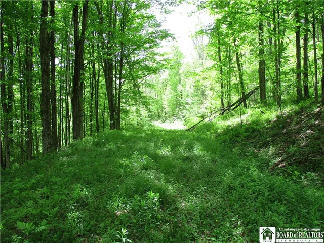 $1,295,000 | Yankee Road, Cuba, NY 14727