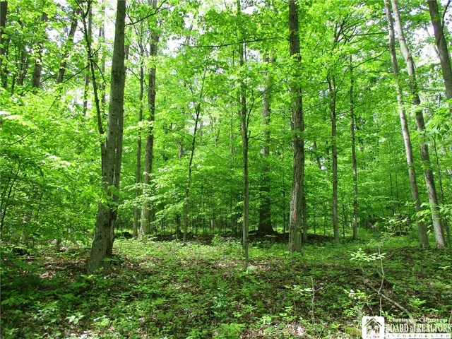 $1,295,000 | Yankee Road, Cuba, NY 14727