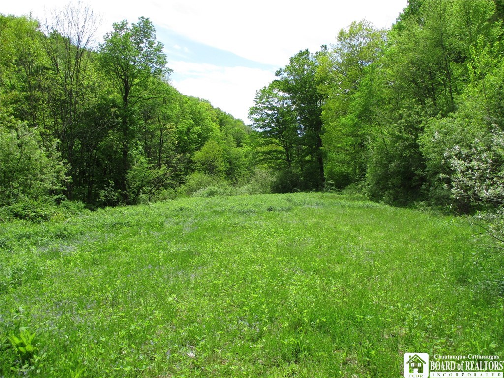 Yankee Road Cuba, NY 14727 - Photo 26 of 31