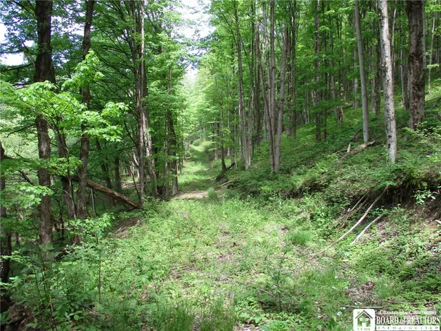 $1,295,000 | Yankee Road, Cuba, NY 14727