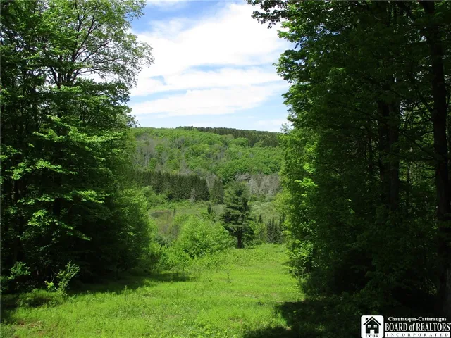 $1,295,000 | Yankee Road, Cuba, NY 14727