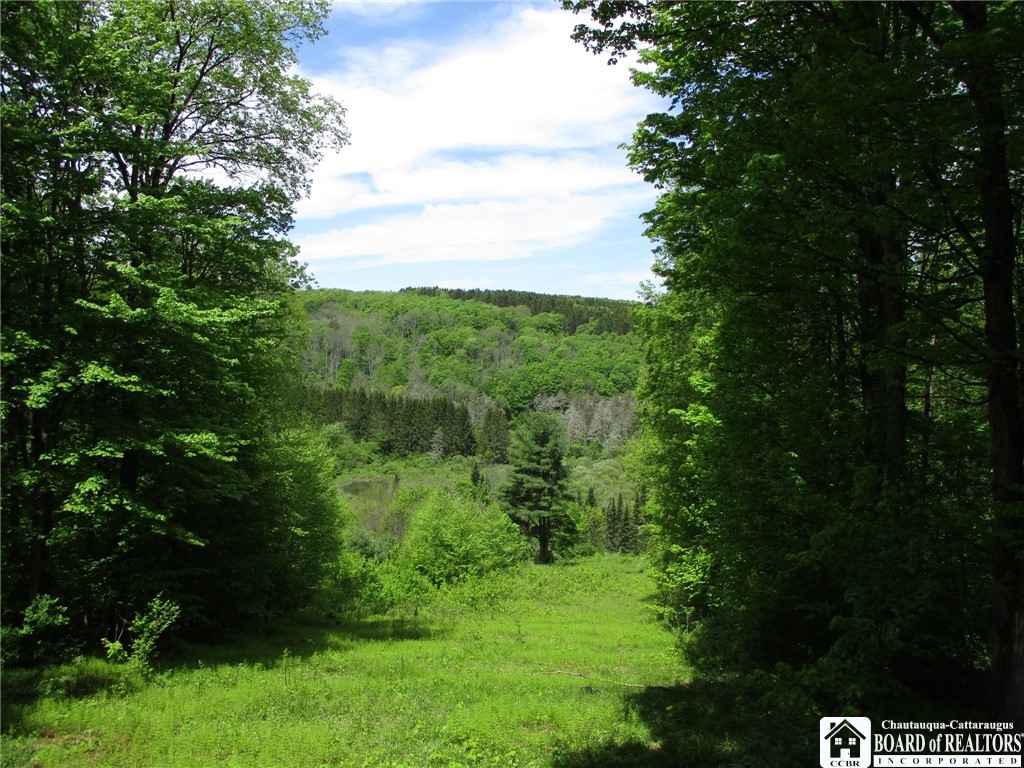 Yankee Road Cuba, NY 14727 - Photo 29 of 31