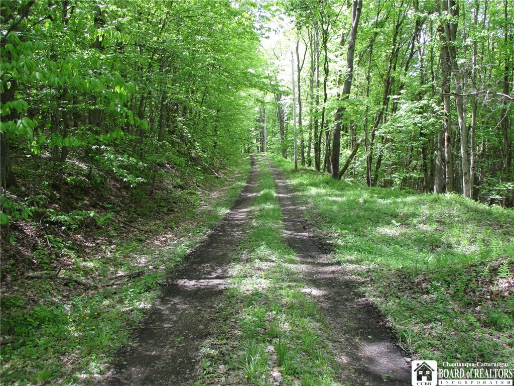 Yankee Road Cuba, NY 14727 - Photo 30 of 31