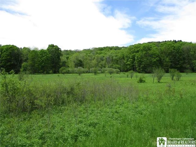 $1,295,000 | Yankee Road, Cuba, NY 14727