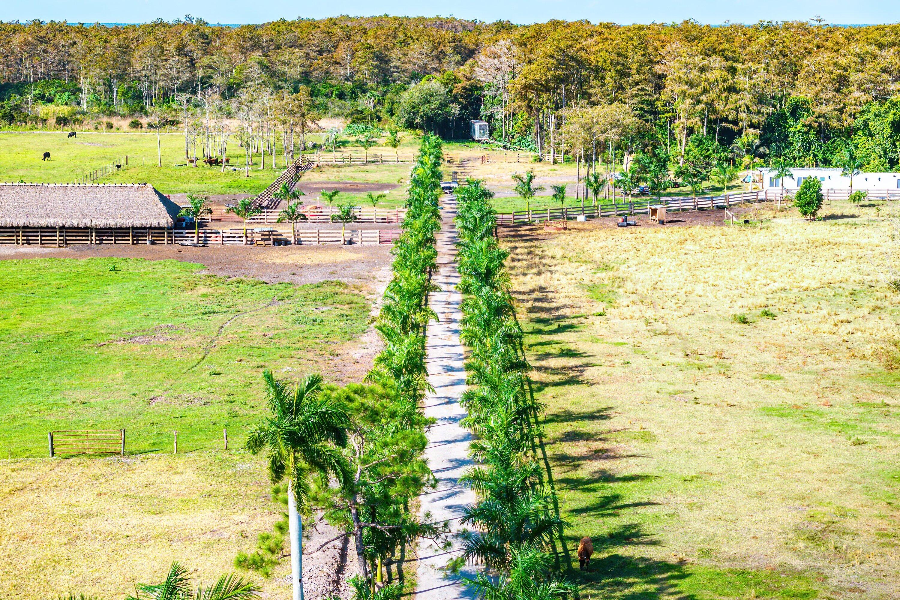 11511 Townsend Lane Boynton Beach, FL 33472 - Photo 17 of 21 a view of a swimming pool with a yard