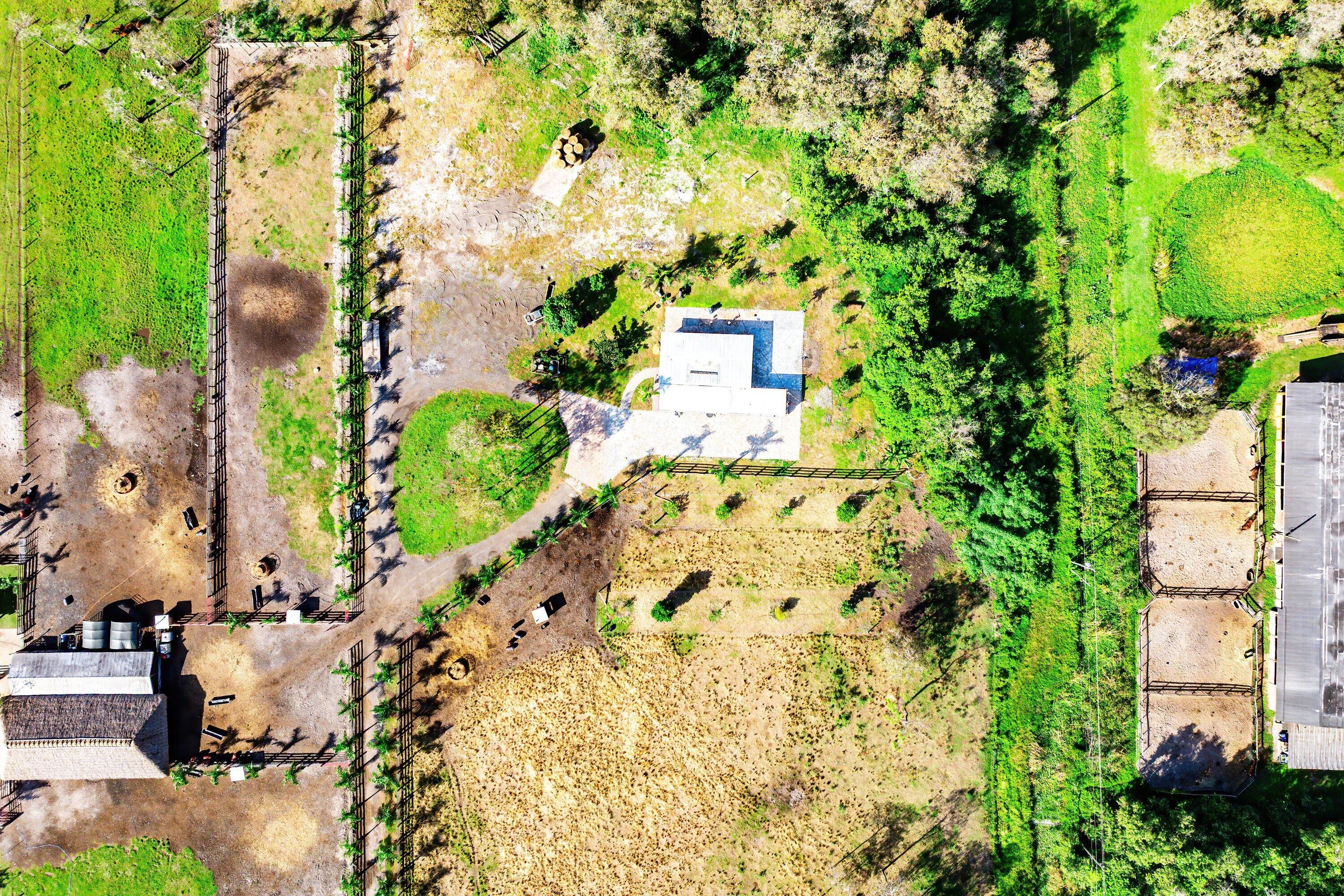 11511 Townsend Lane Boynton Beach, FL 33472 - Photo 20 of 21 a picture of flowers