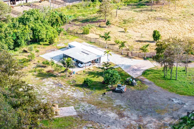 a view of a yard with flower plants