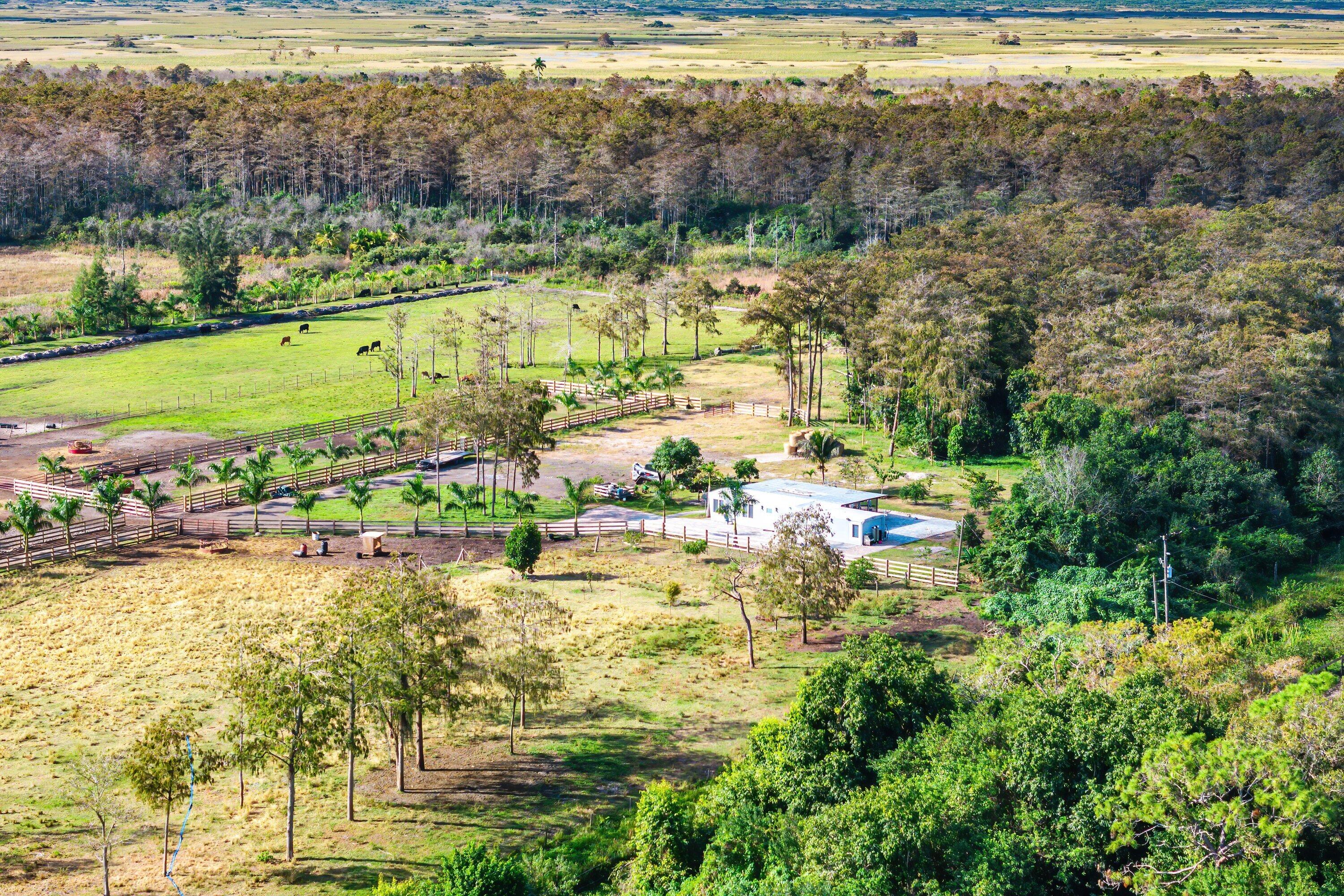 11511 Townsend Lane Boynton Beach, FL 33472 - Photo 10 of 21 a view of lake view