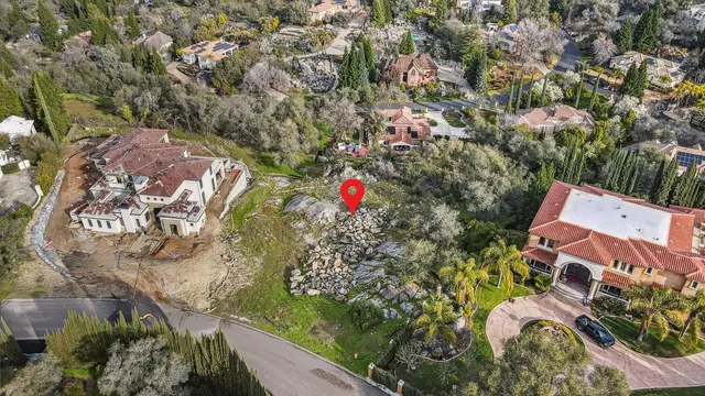 a picture of flowers