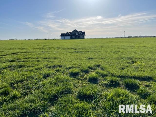 826 Book Lane Geneseo, IL 61254 - Photo 2 of 5 a view of a green field with lots of trees