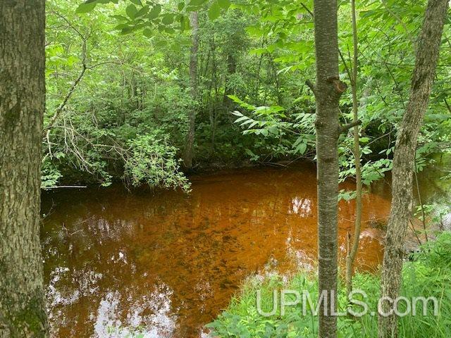 W8987 Co Road Pembine, WI 54156 - Photo 22 of 27