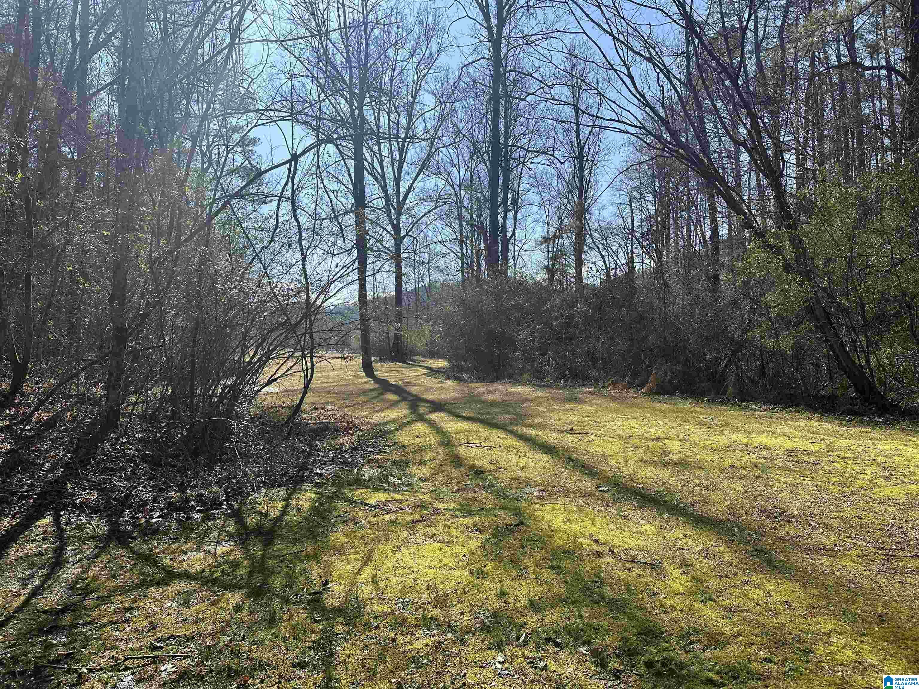 793 Jewell Road Oxford, AL 36203 - Photo 72 of 75