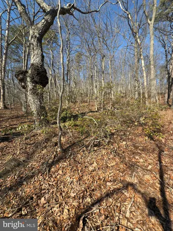 a view of a yard of the house