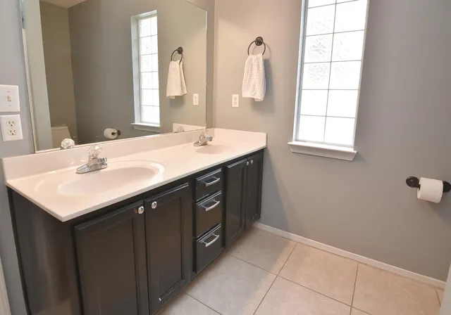 a bathroom with a sink and a mirror