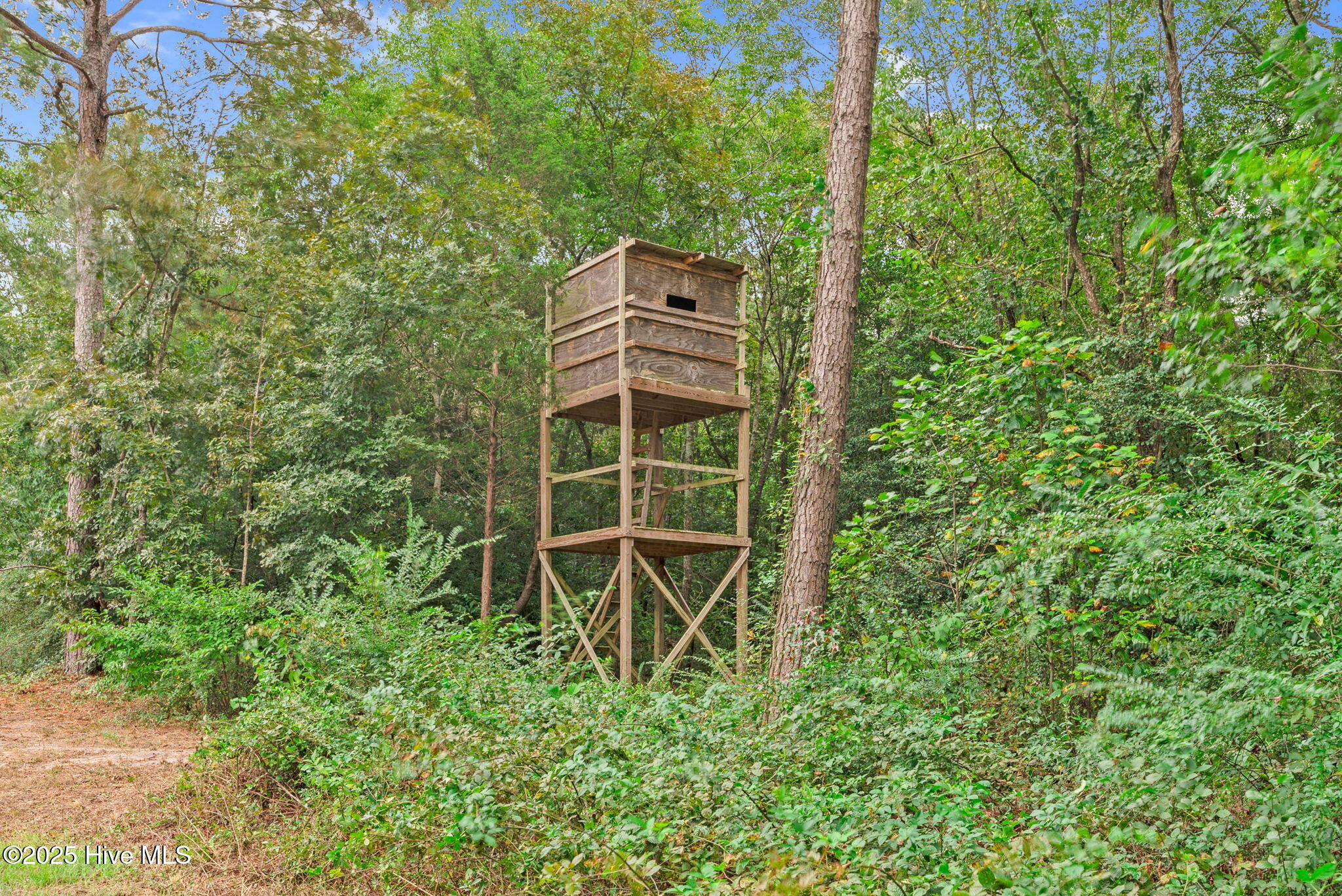 1144 Lee-Johnson Road Dunn, NC 28334 - Photo 15 of 56 1144 Lee-Johnson Road-22