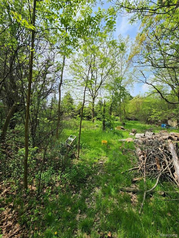 7375 East Curtis Road Frankenmuth, MI 48734 - Photo 28 of 28 Gallery Image 28