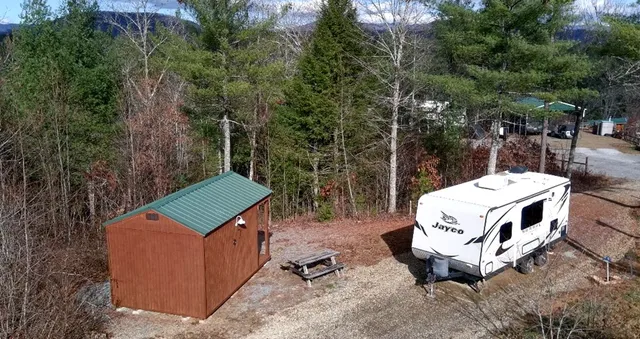 a view of a forest with large trees