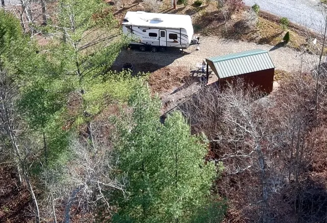 a view of a backyard with plants and large trees