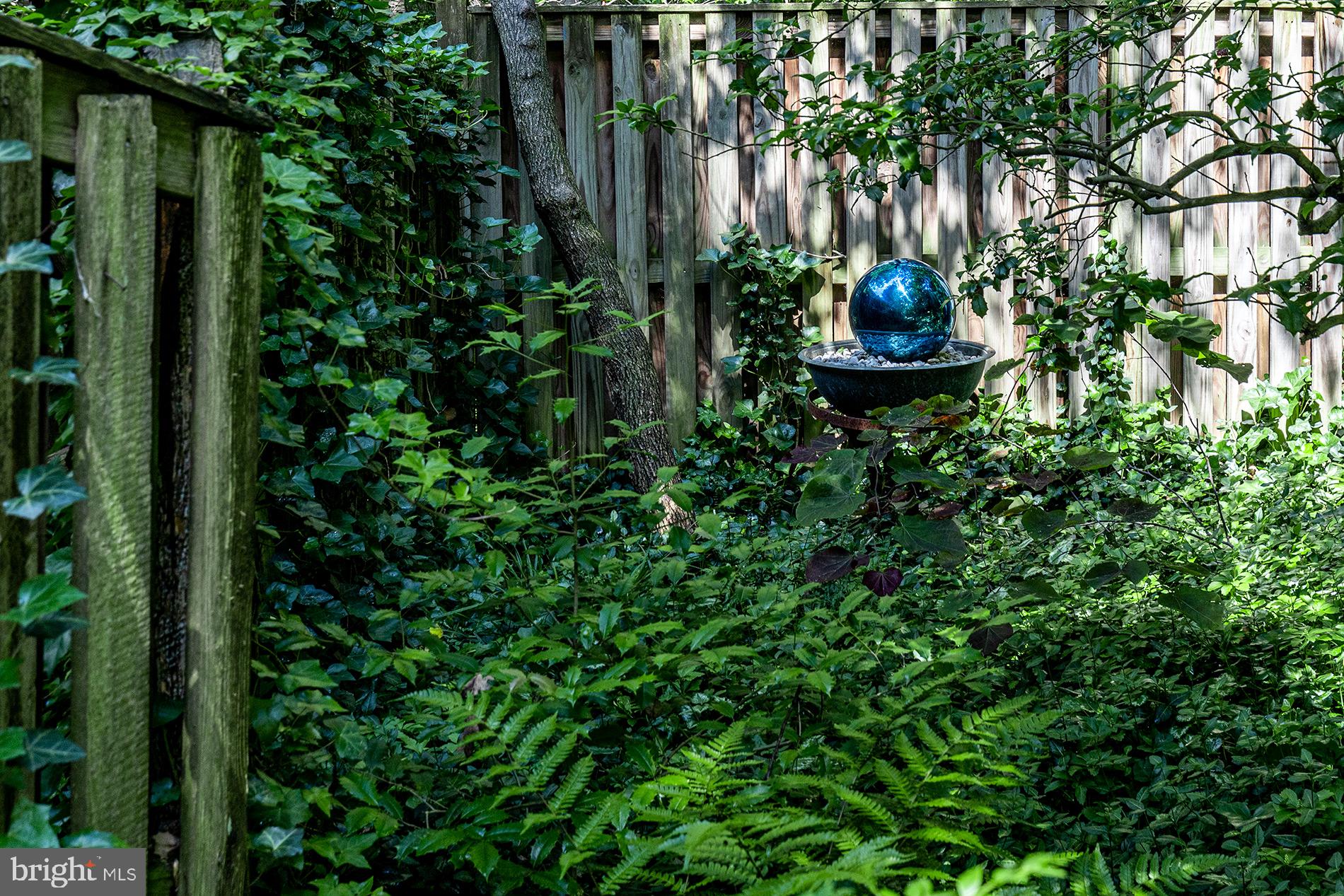 11621 Clubhouse Court Reston, VA 20190 - Photo 42 of 57 LUSH GRENNERY