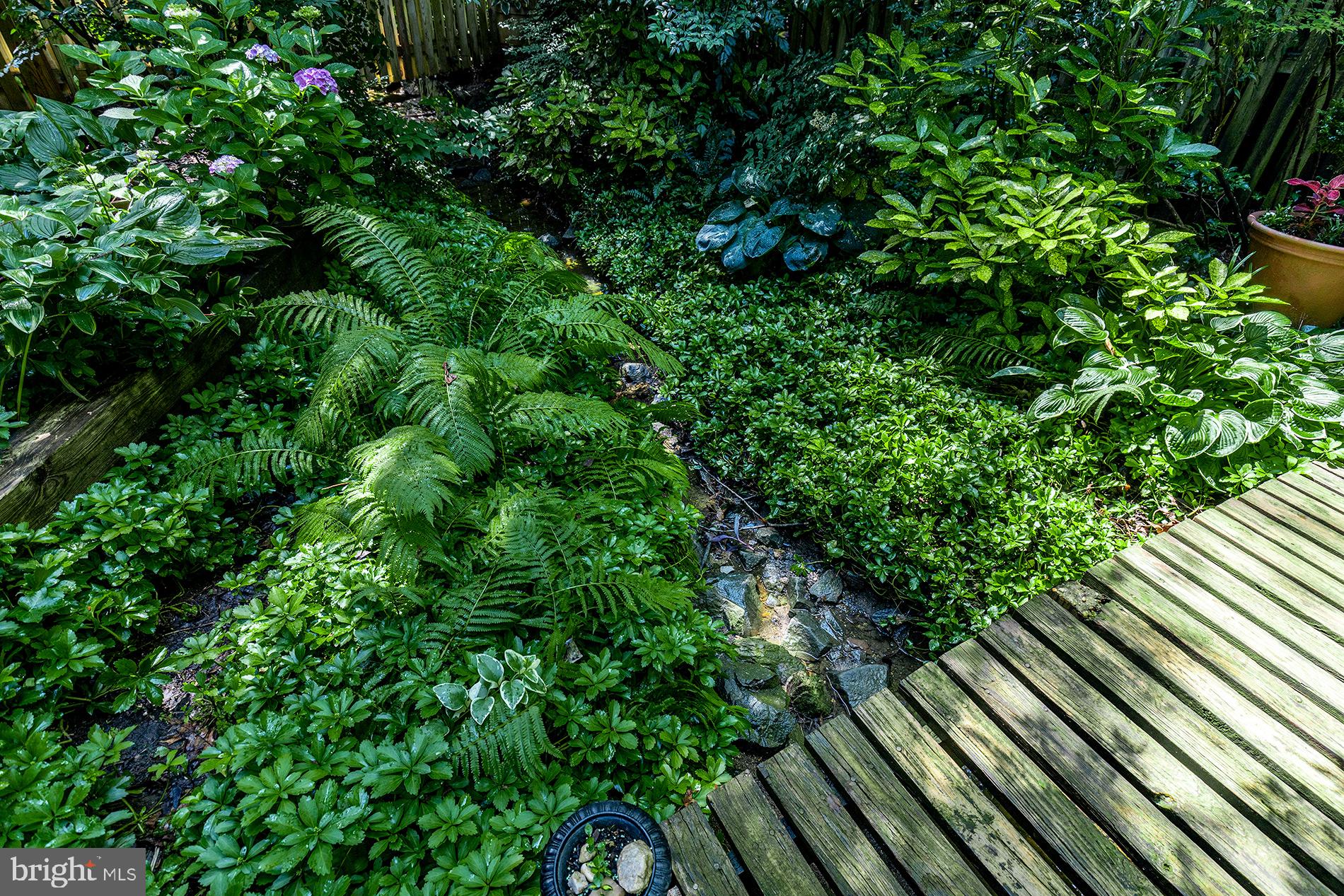 11621 Clubhouse Court Reston, VA 20190 - Photo 43 of 57 BEAUTIFUL PLANTINGS