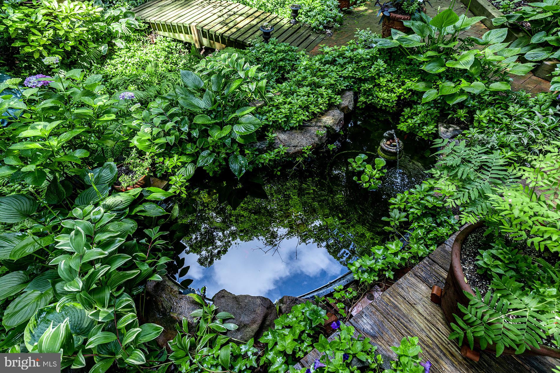 11621 Clubhouse Court Reston, VA 20190 - Photo 46 of 57 LILY POND!