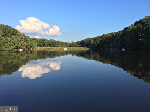 11621 Clubhouse Court Reston, VA 20190 - Photo 50 of 57 TRANQUIL LAKE ANNE