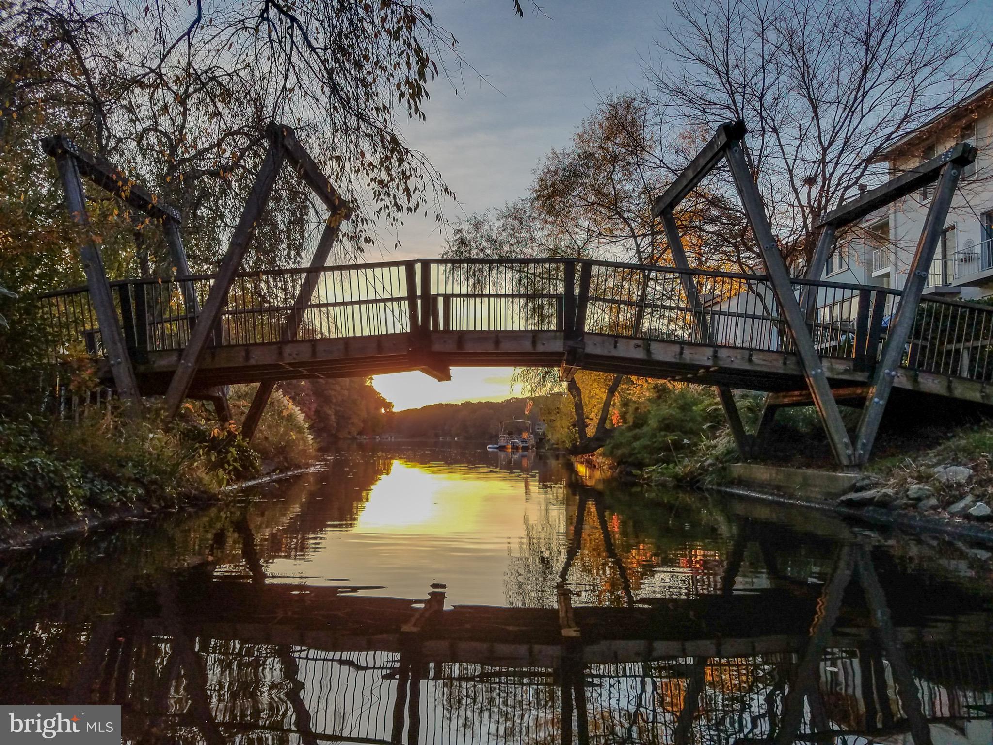 11621 Clubhouse Court Reston, VA 20190 - Photo 54 of 57 Van Gogh BRIDGE AT LAKE ANNE