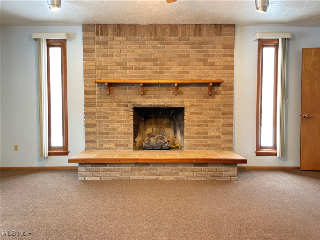 1381 Robb Road Conneaut, OH 44030 - Photo 20 of 50 Detailed view of a fireplace, carpet, and a textured ceiling