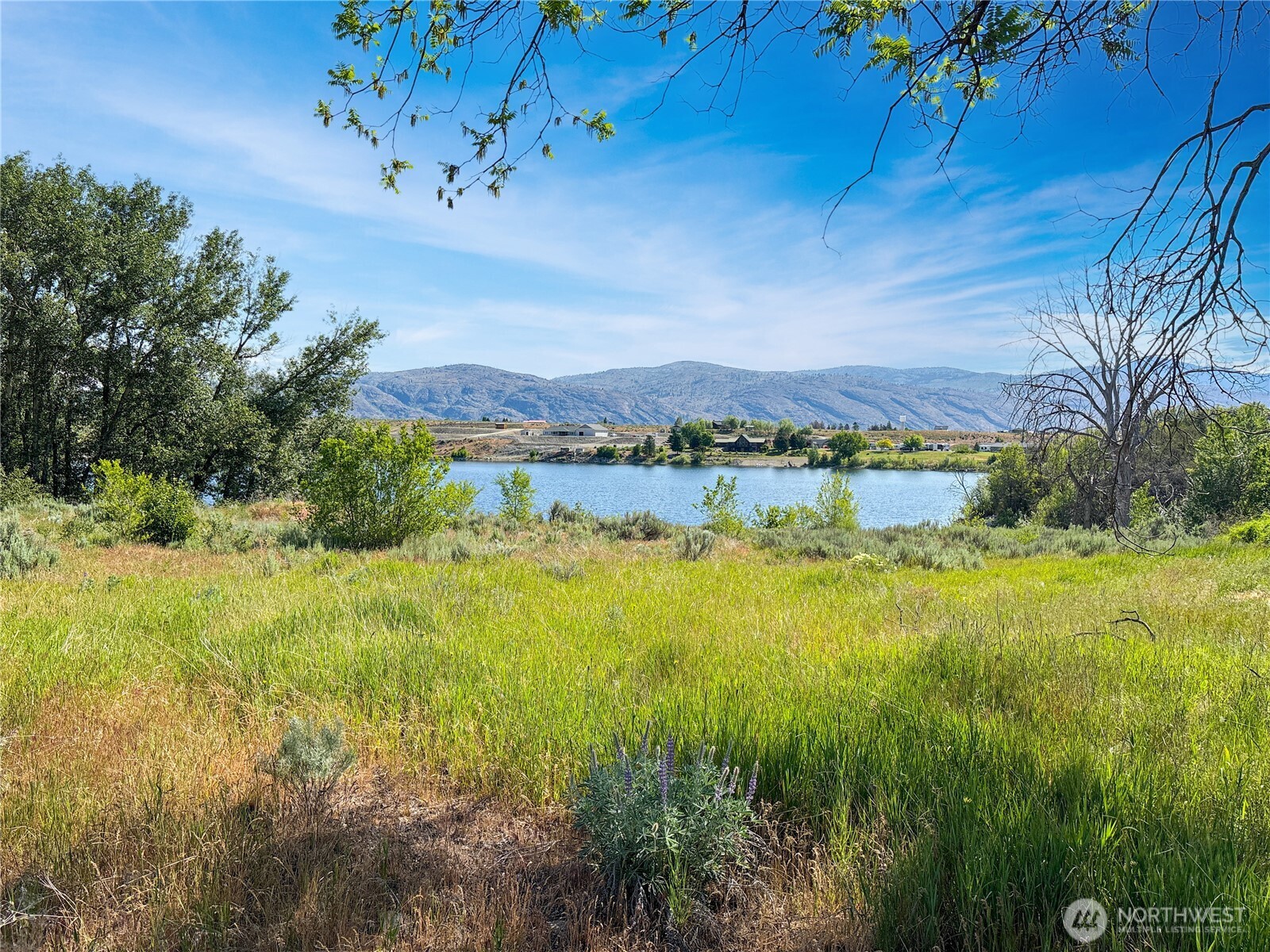 0 Lot 4 Freese Duck Lake Road Omak, WA 98841 - Photo 11 of 15