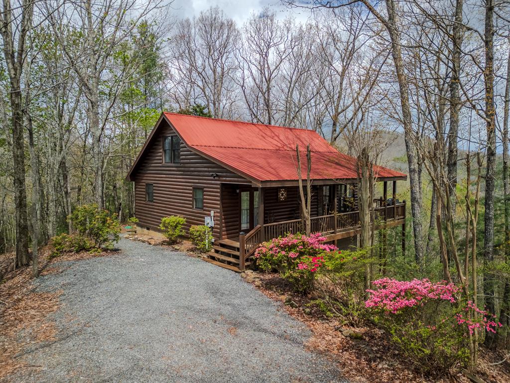 507 Bushy Head Road Cherry Log, GA 30522 - Photo 1 of 35 Main View