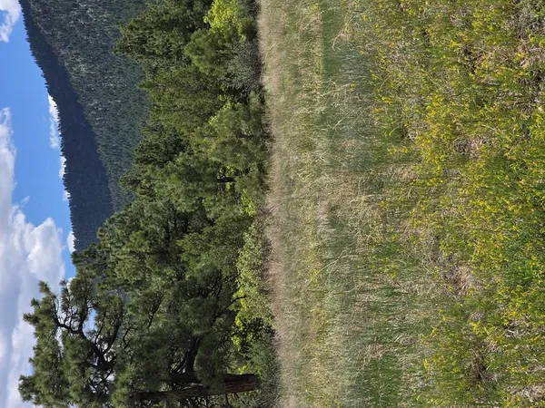 $2,750,000 | 15 County Road 15, Florence, CO 81226