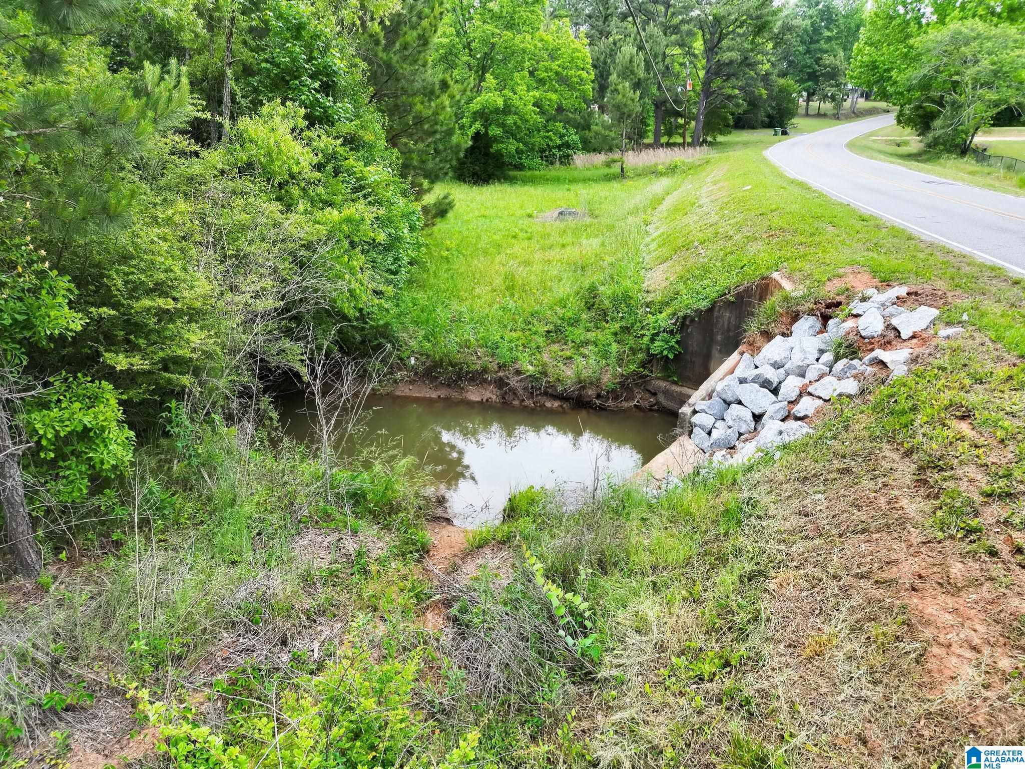 0 Temple Road, Unit 1 Clanton, AL 35045 - Photo 13 of 13