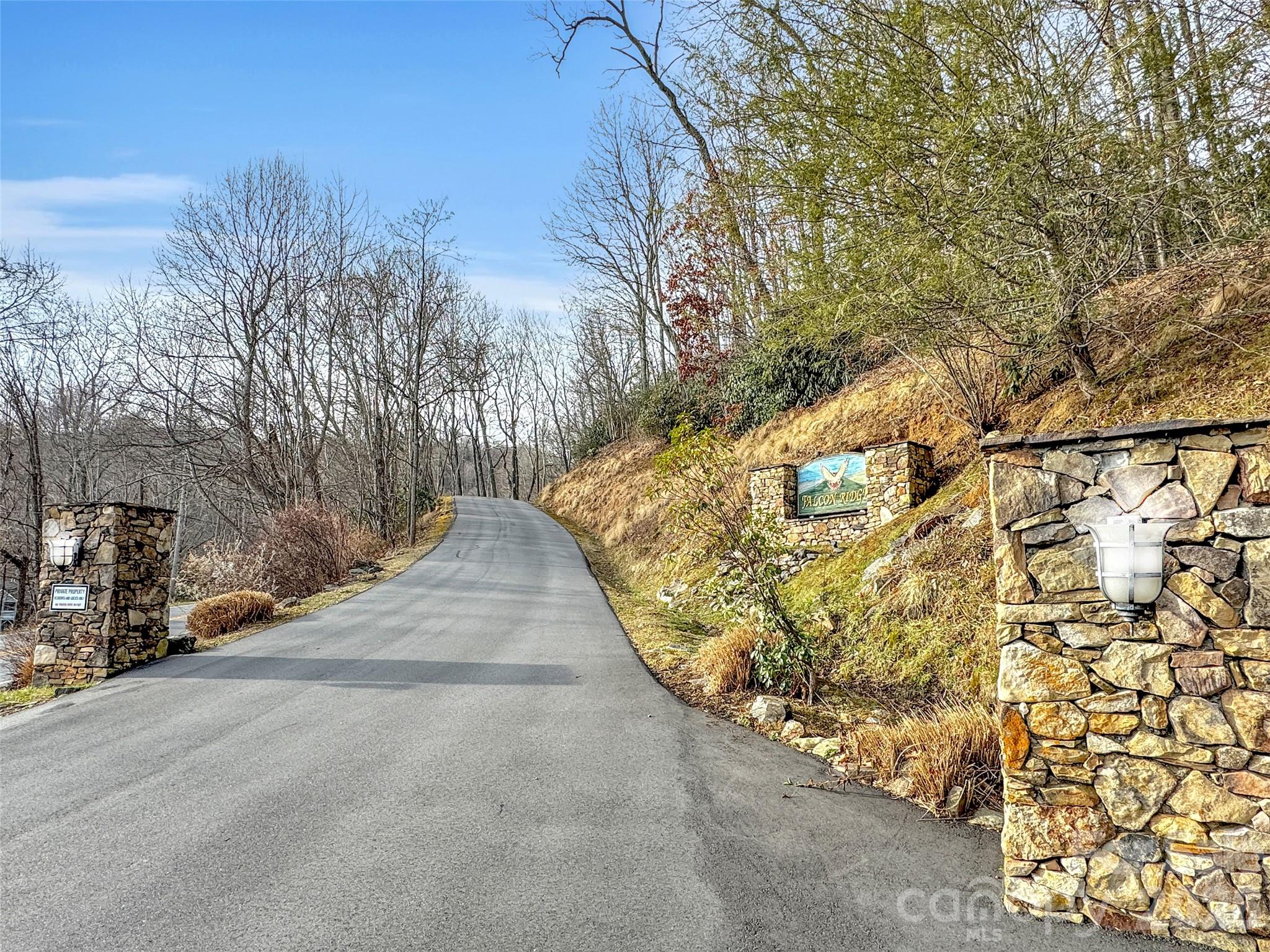 371 Falcon Ridge Drive Waynesville, NC 28786 - Photo 32 of 48