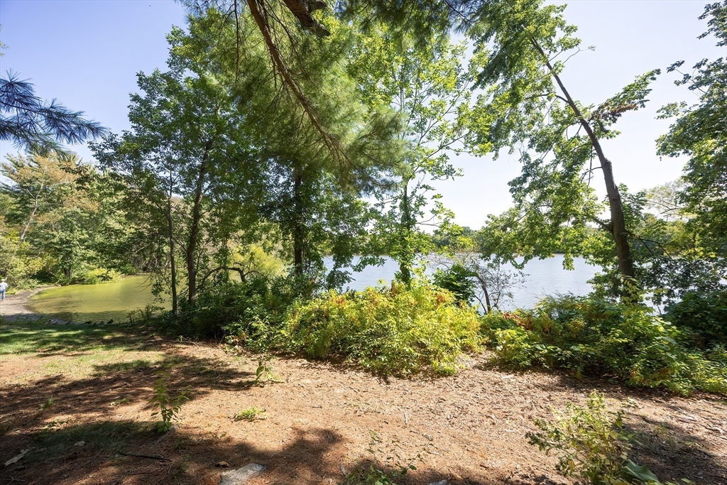 290 Central Avenue Milton, MA 02186 - Photo 37 of 40 a view of a pathway both side of yard