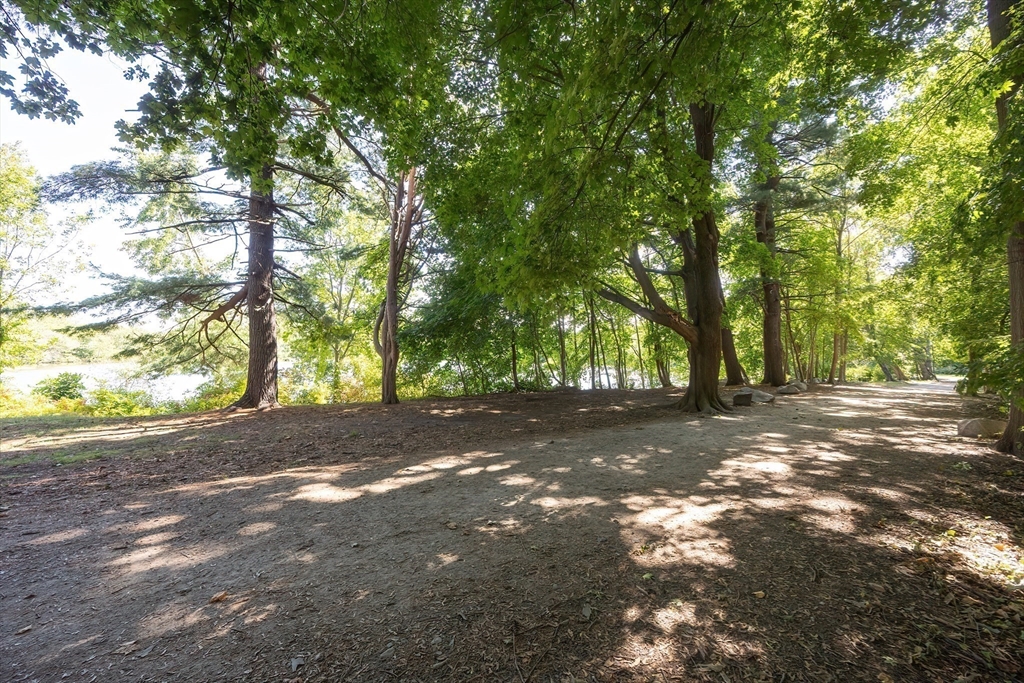 290 Central Avenue Milton, MA 02186 - Photo 38 of 40 a view of a tree in the middle of a yard