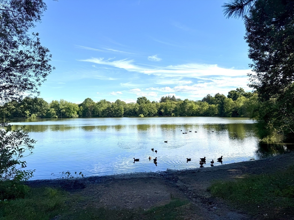 290 Central Avenue Milton, MA 02186 - Photo 40 of 40 a view of a lake