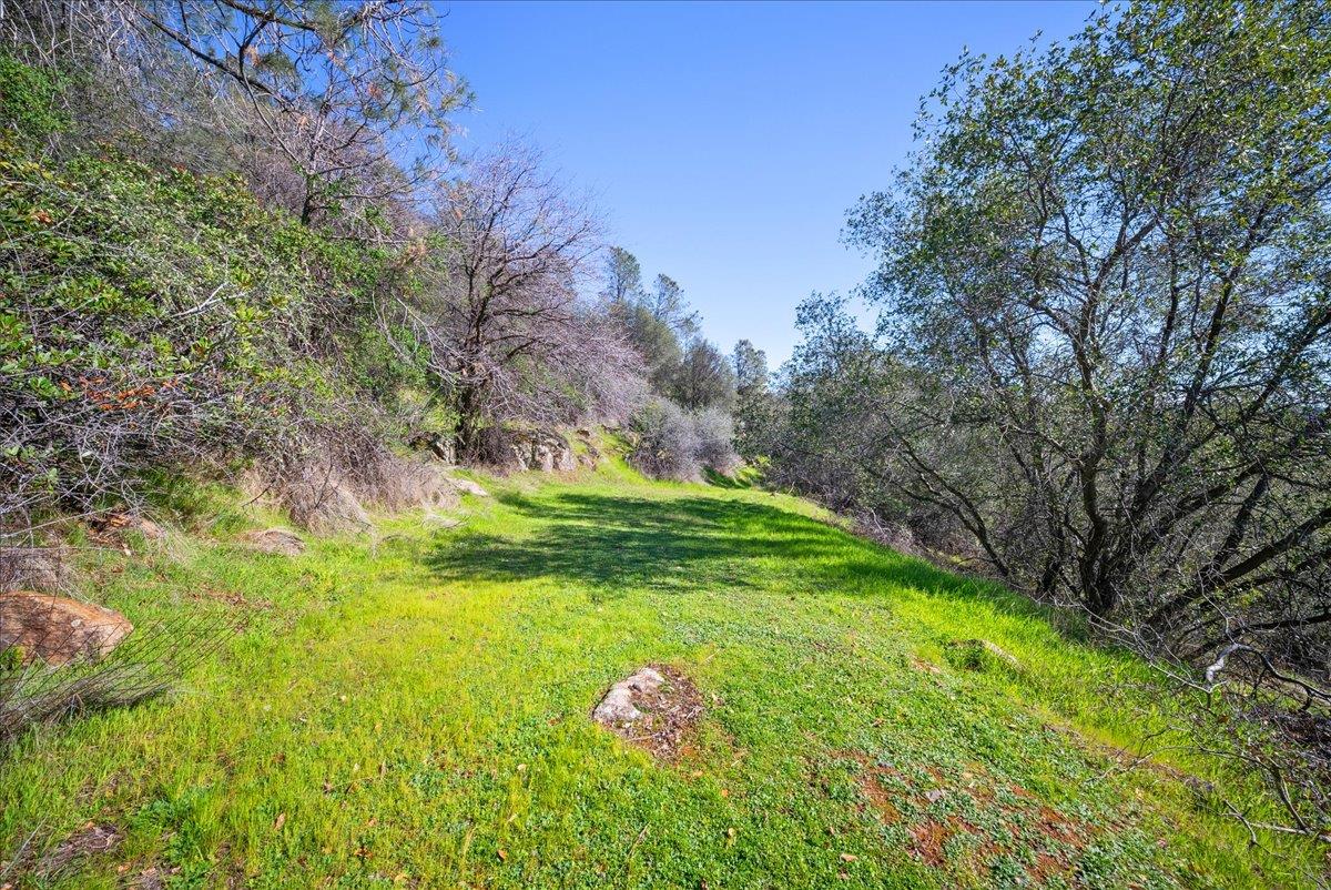 3110 Iron Mine Road Auburn, CA 95602 - Photo 44 of 46
