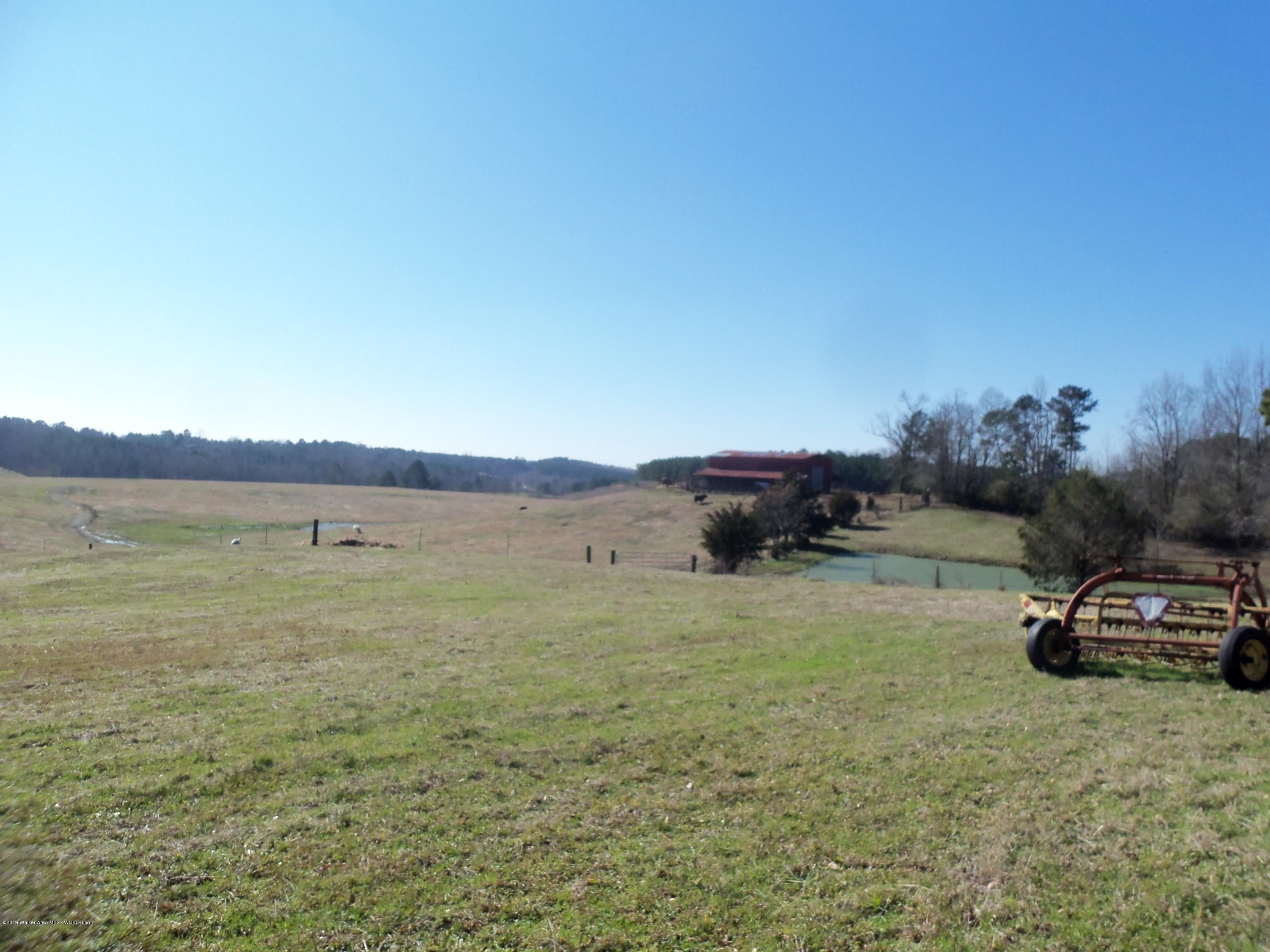 0 Co Road Crane Hill, AL 35053 - Photo 2 of 3 Gallery Image 2