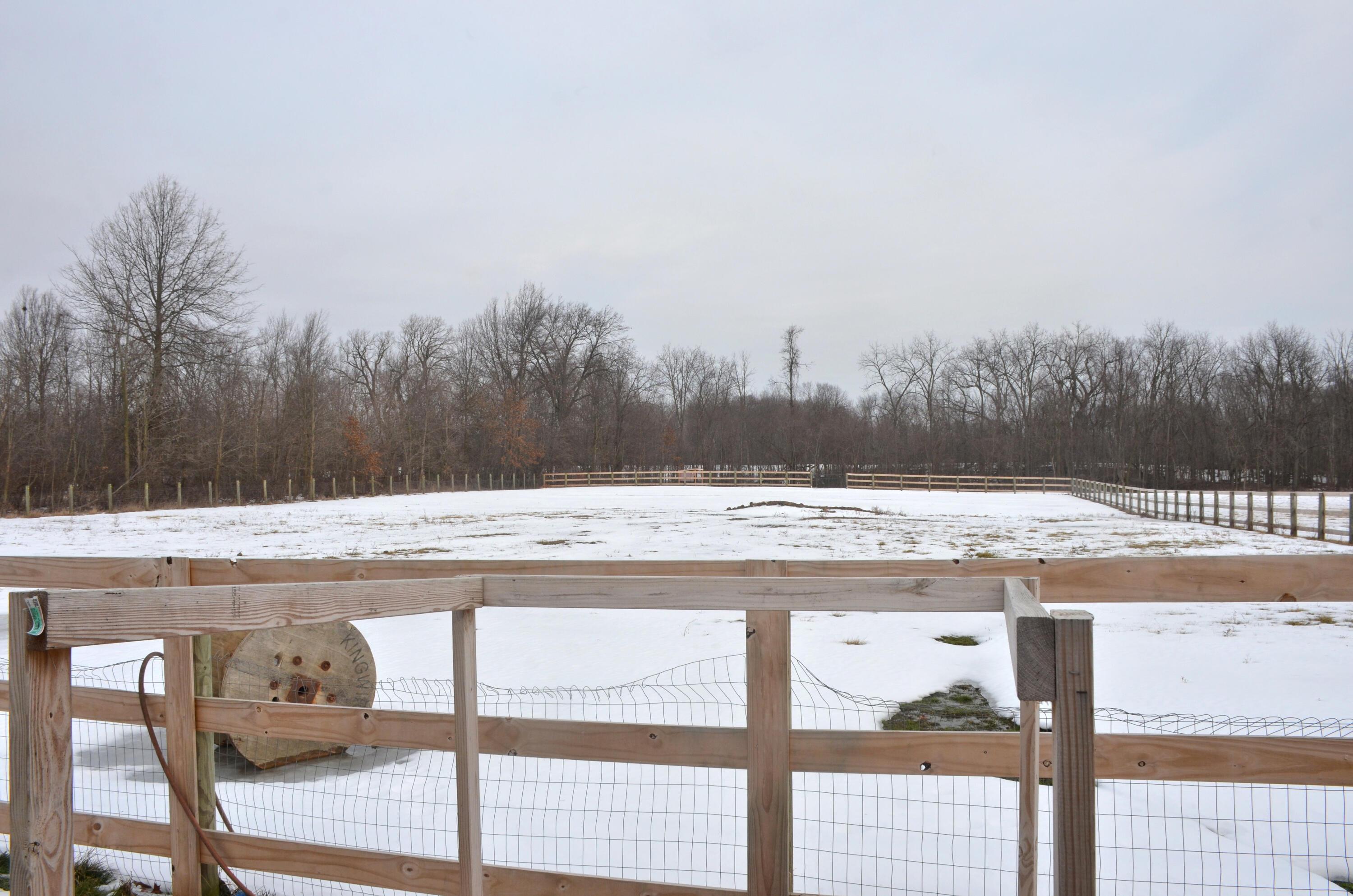 24575 Patrick-Brush Run Road Marysville, OH 43040 - Photo 18 of 99 back fenced pasture