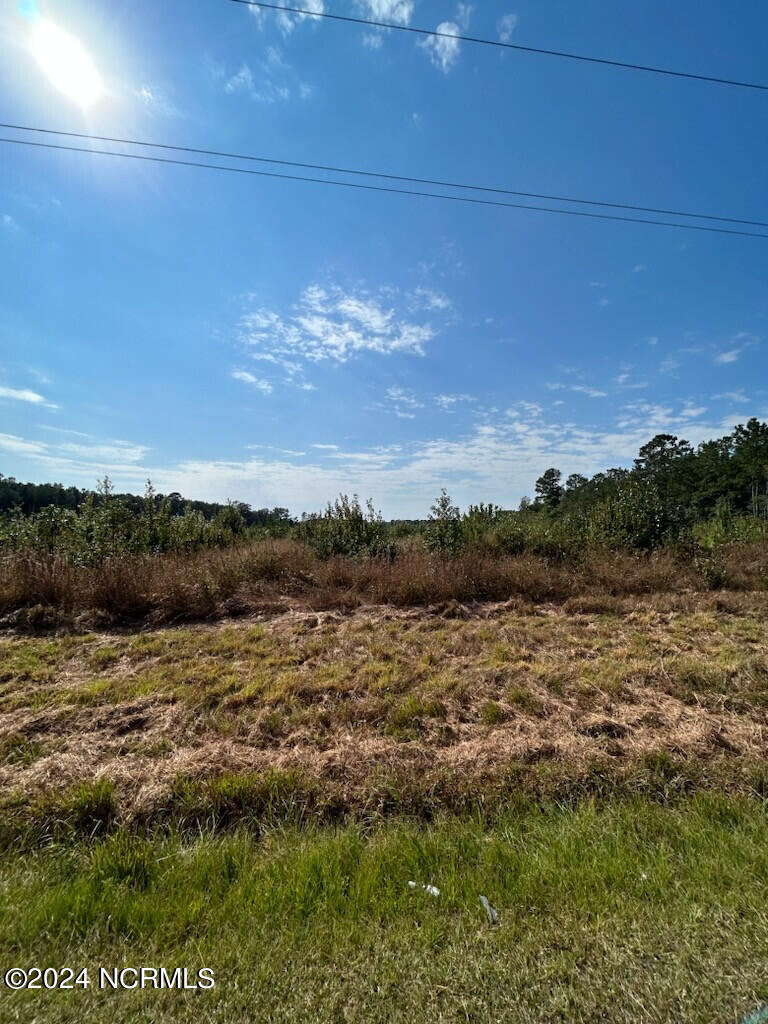 712 Old Kenly Road Pikeville, NC 27863 - Photo 3 of 11 3) 47761-66bf6fe0c73b6