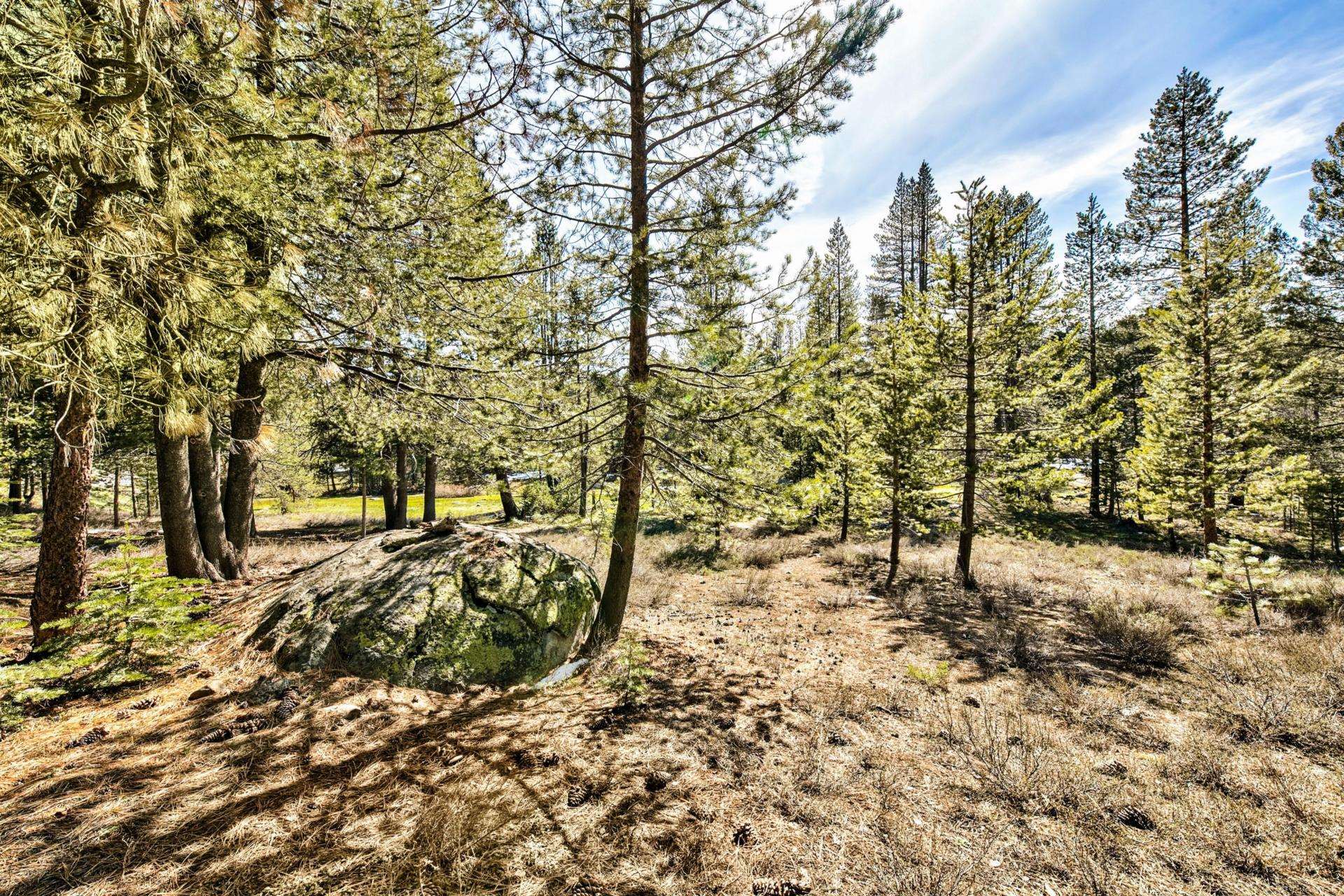 11224 Bennett Flat Road Truckee, CA 96161 - Photo 11 of 18 a view of a yard with trees