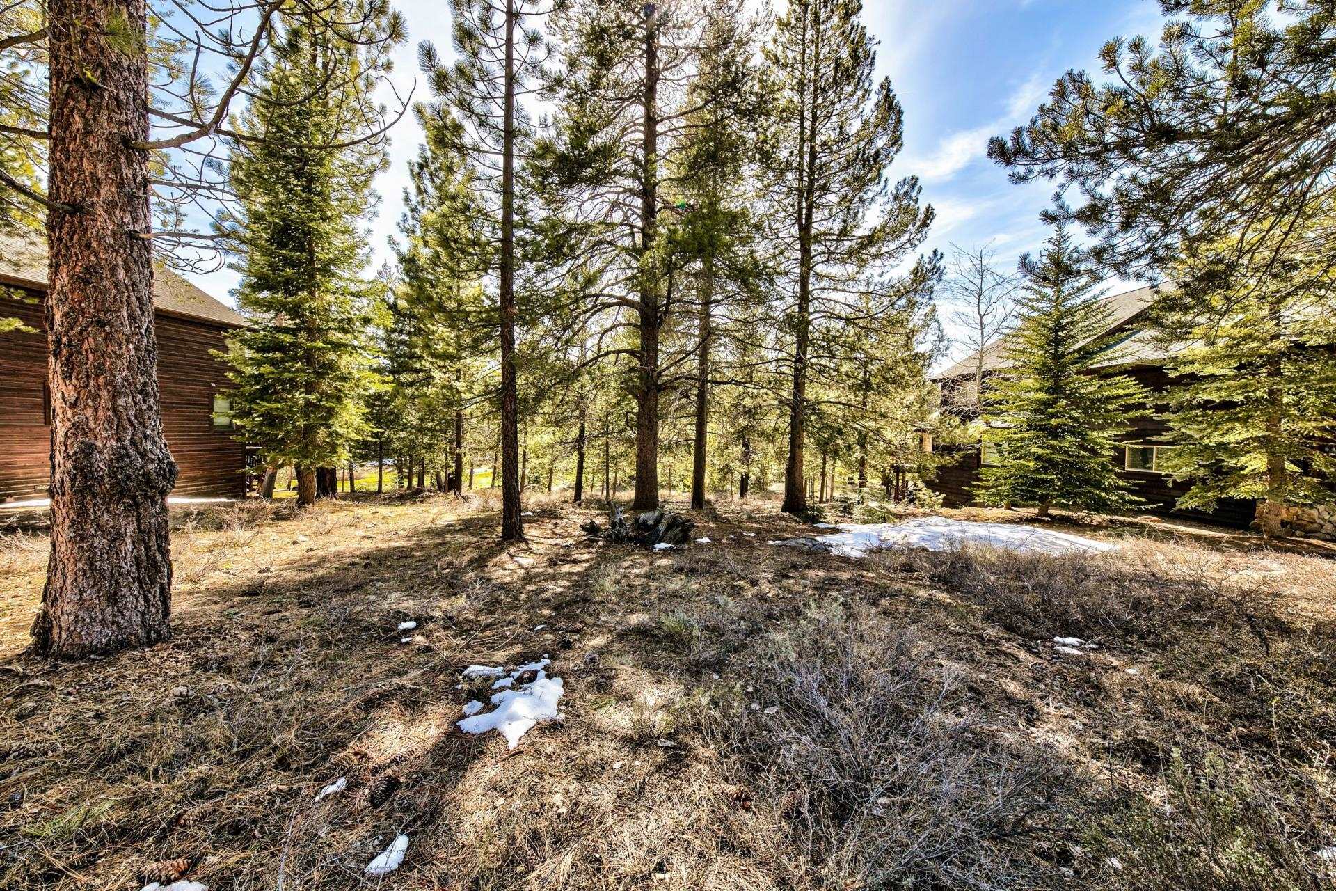 11224 Bennett Flat Road Truckee, CA 96161 - Photo 14 of 18 a view of road and trees