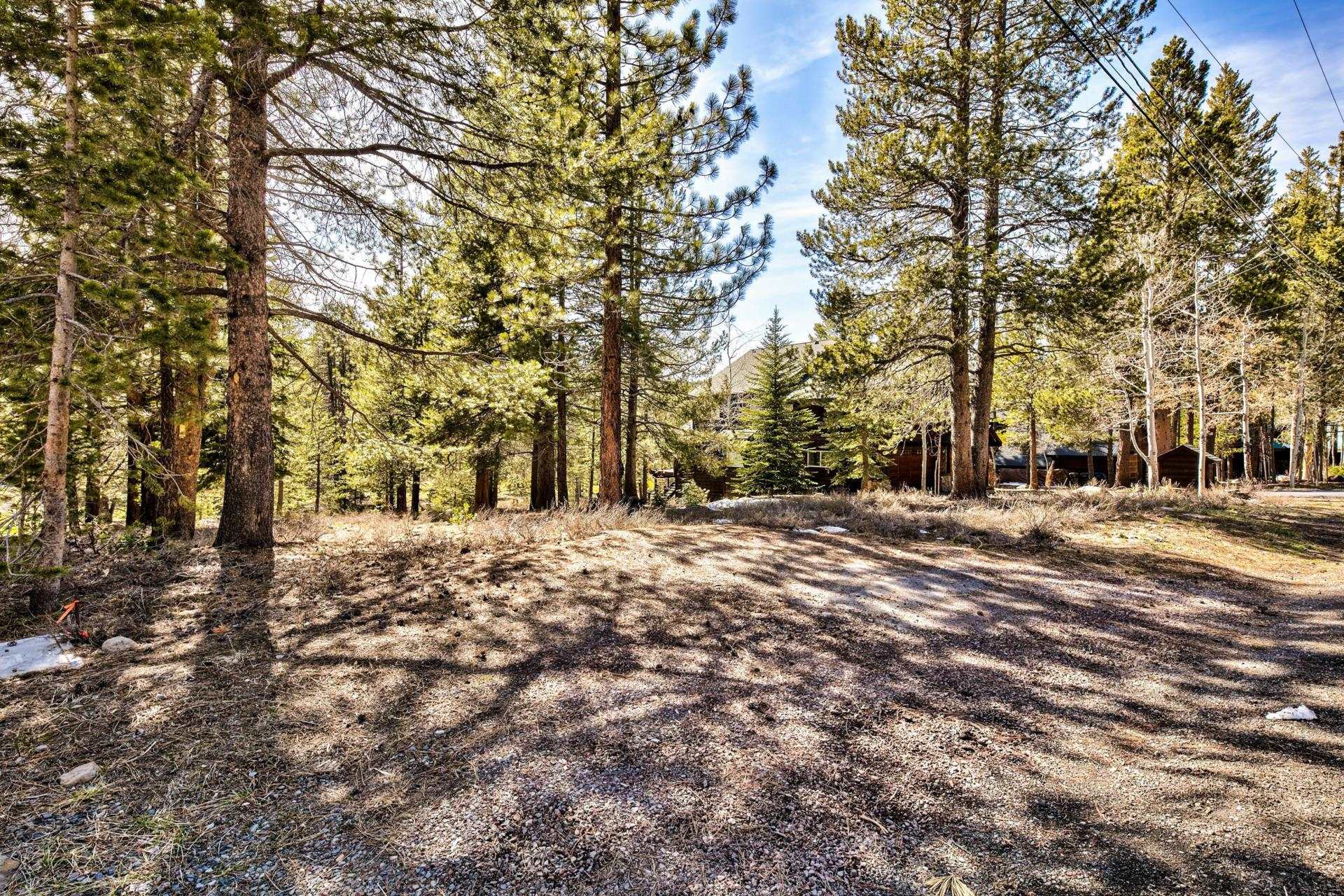 11224 Bennett Flat Road Truckee, CA 96161 - Photo 15 of 18 a view of road with trees